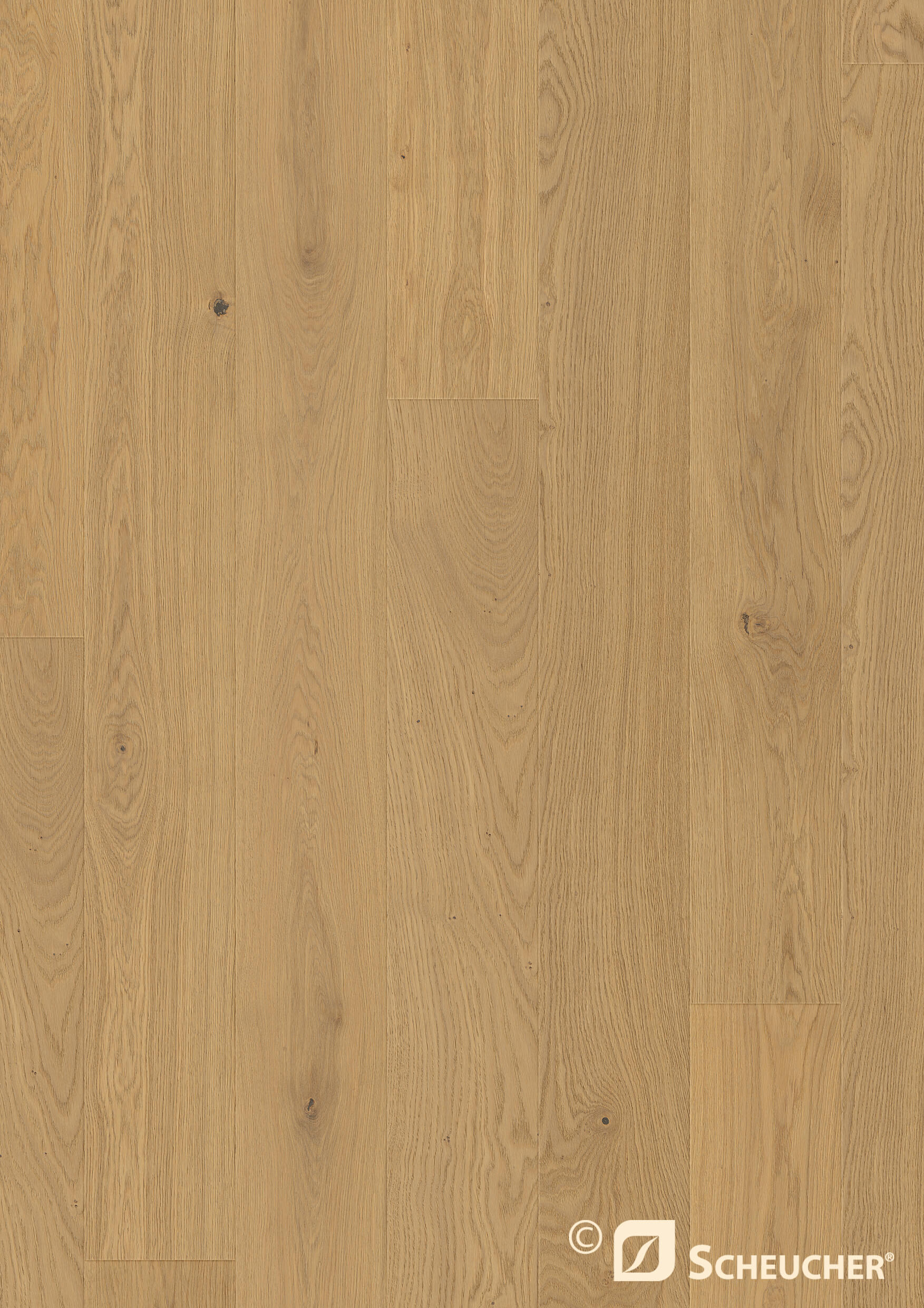 Landhausdiele Eiche astig Nebla Valletta