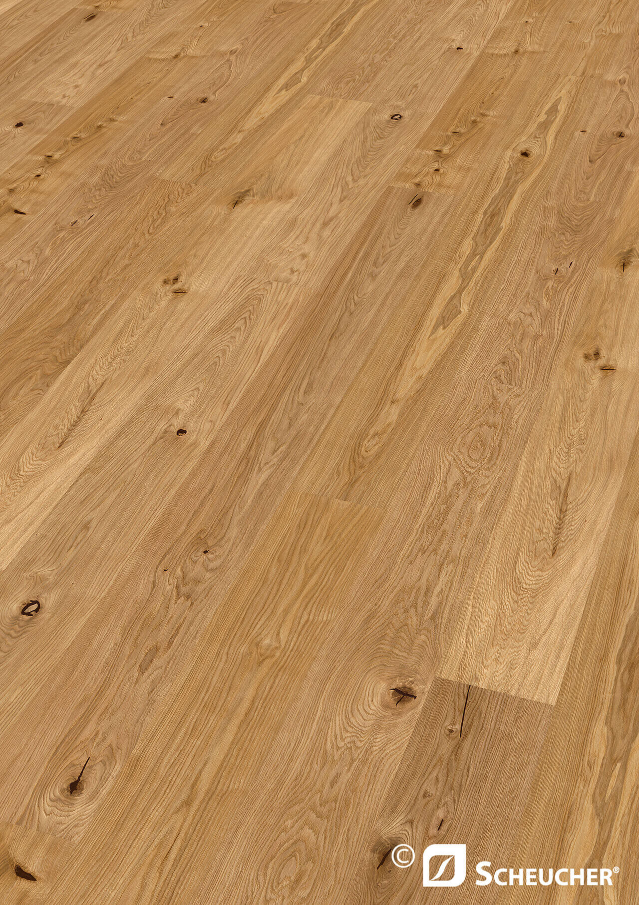 Elevation Landhausdiele Woodfloor 182 Elba
