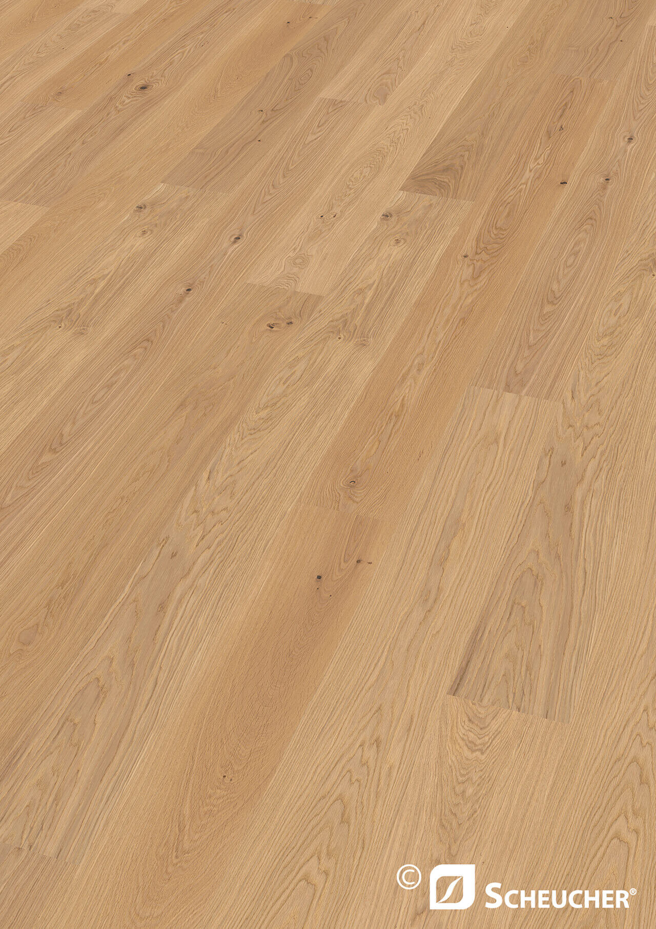 Parkett Eiche Astig Valletta Perla Seda