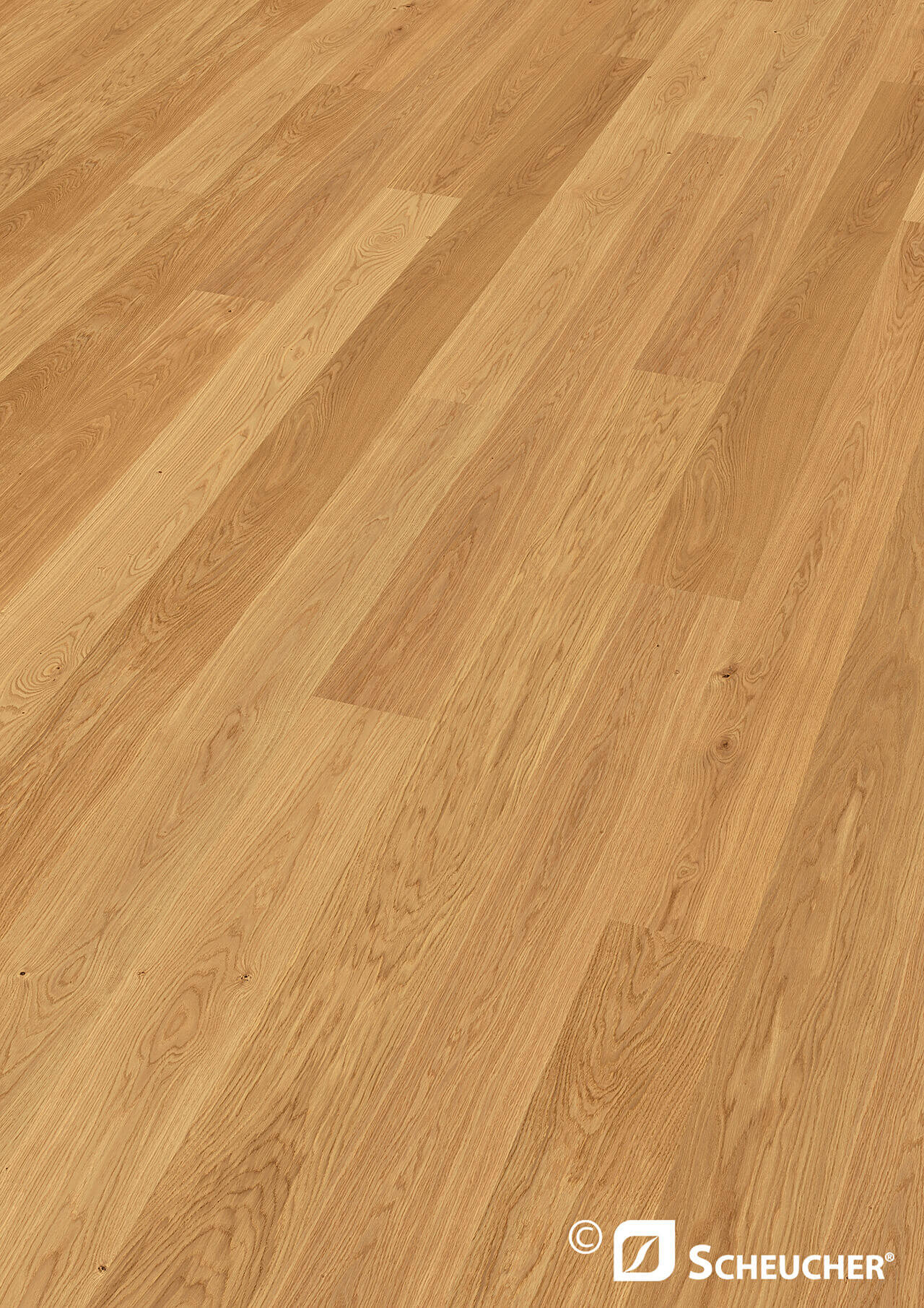 Landhausdiele Eiche Natur