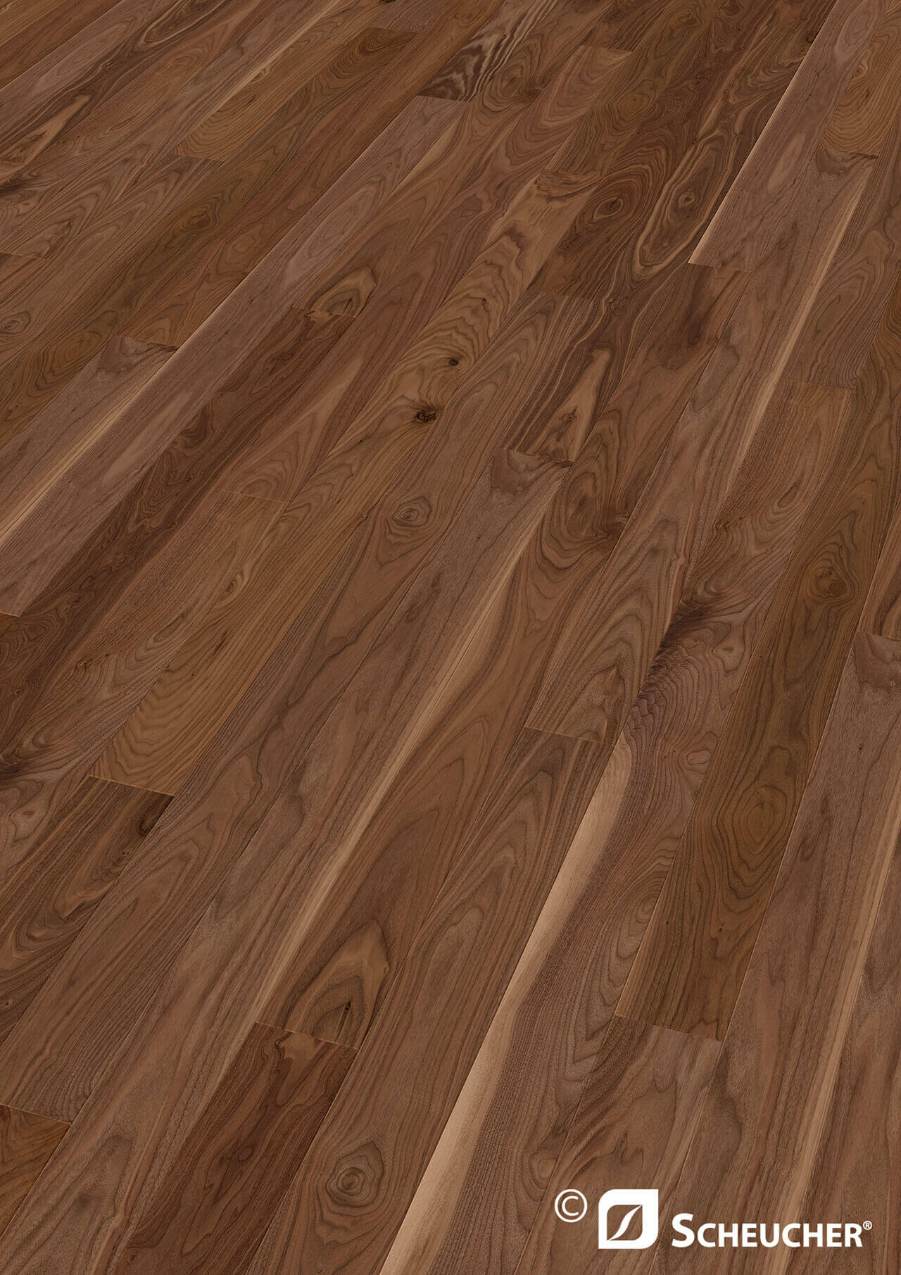 Parkett Nuss Amerikanisch Natur Seda