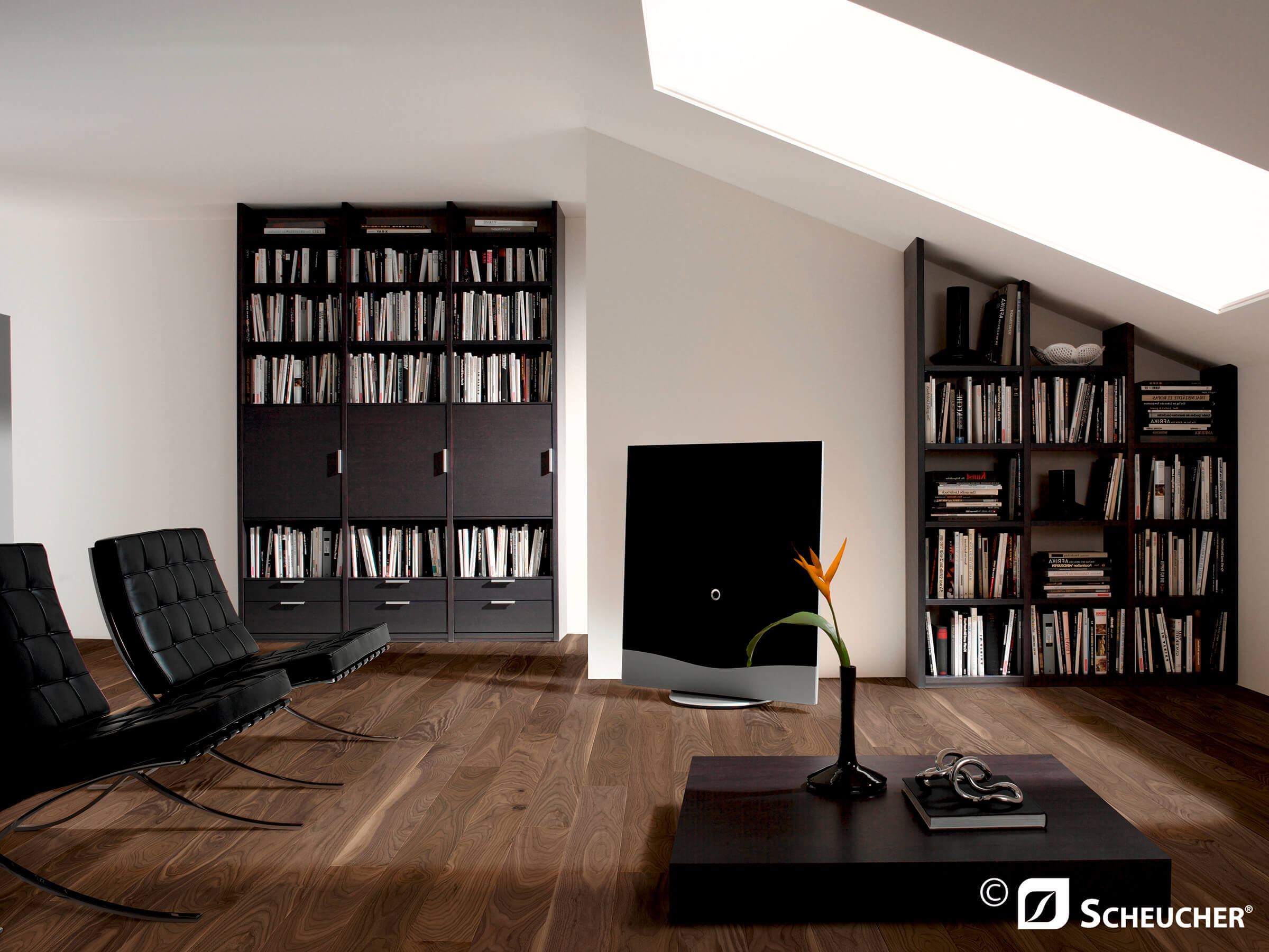 Bibliothek mit Nuss Amerikanisch Natur Seda