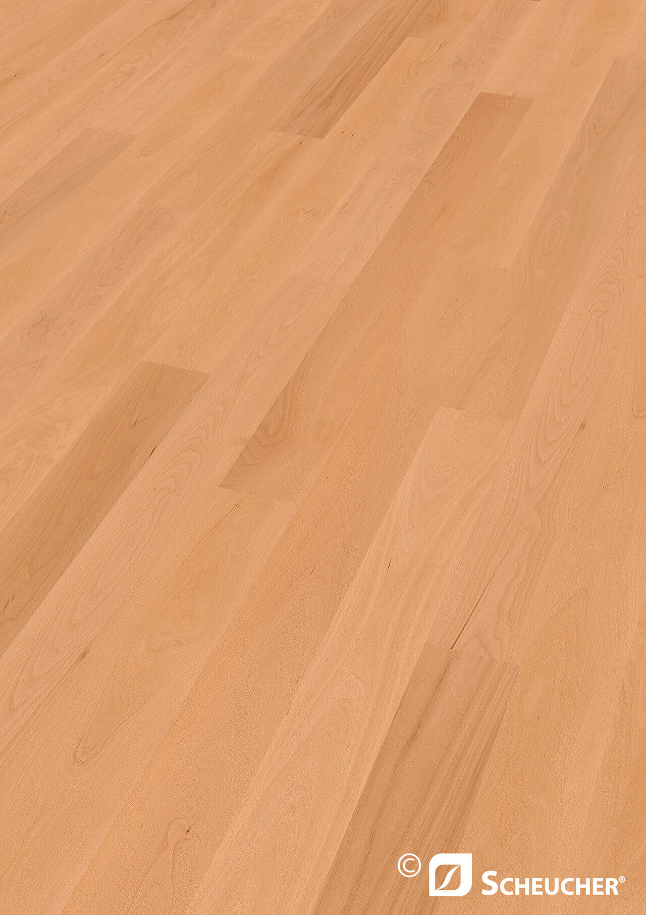 Parkett Buche gedämpft