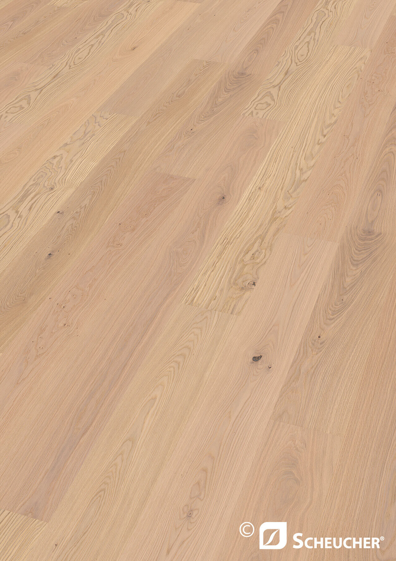 Scheucher Parkett Eiche Astig Bianca Valletta
