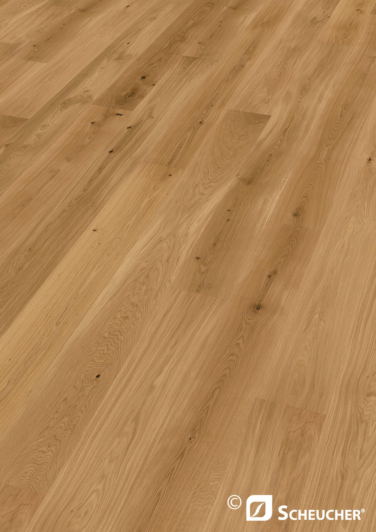 Diele 222 Eiche Astig Natura Valletta Seda