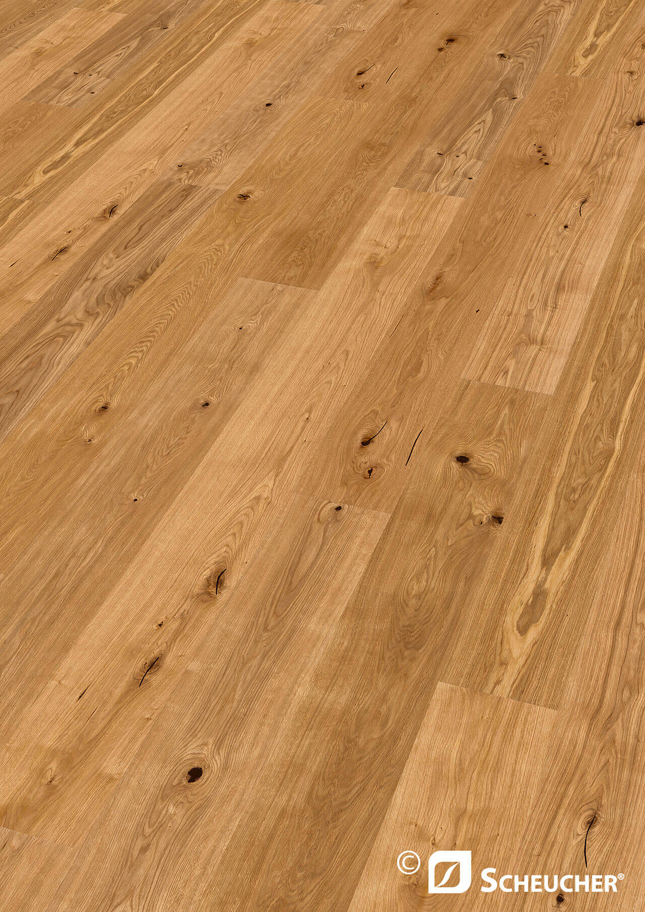 Scheucher Parkett Eiche country akzent valletta
