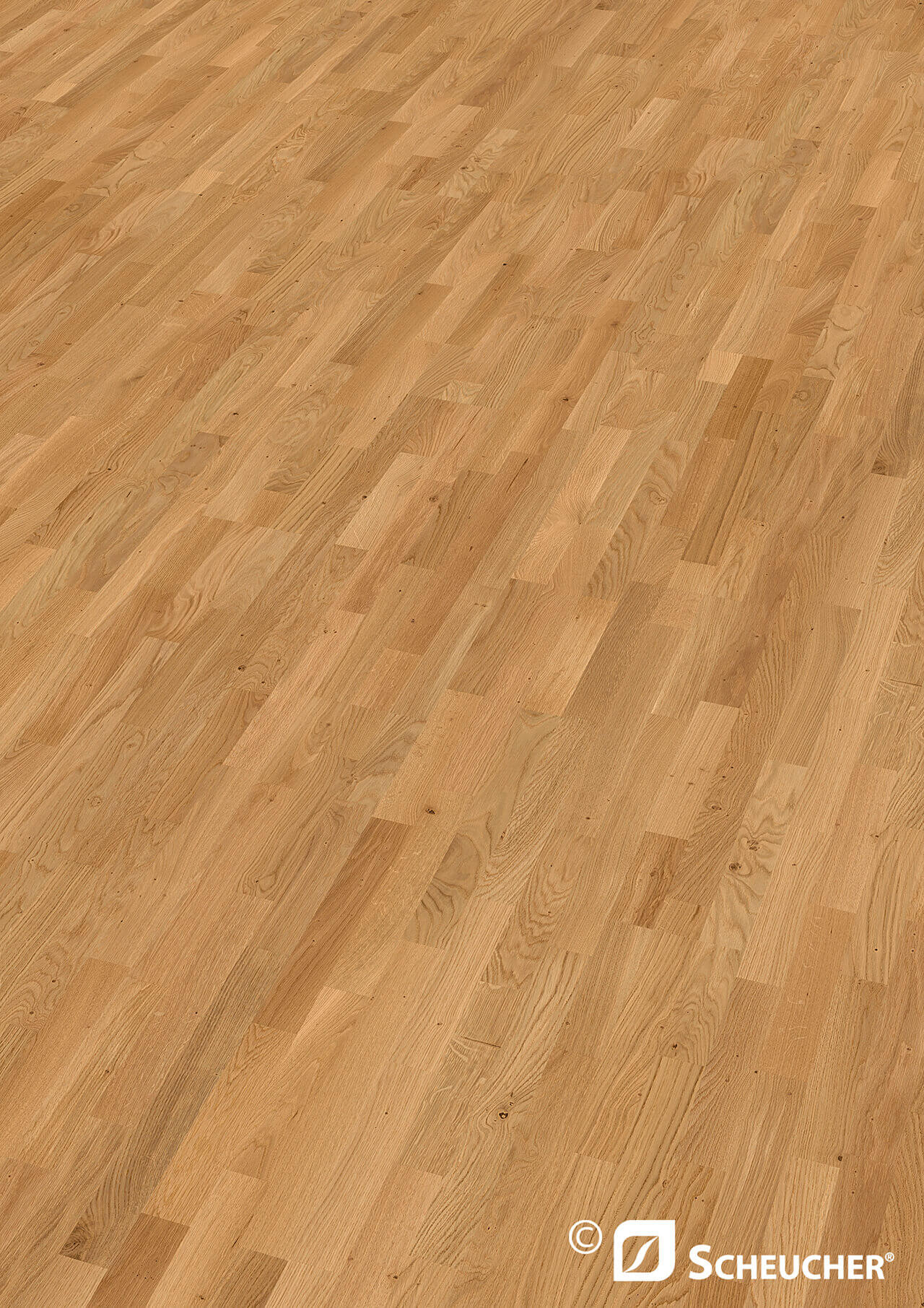 Schiffsboden Eiche Astig