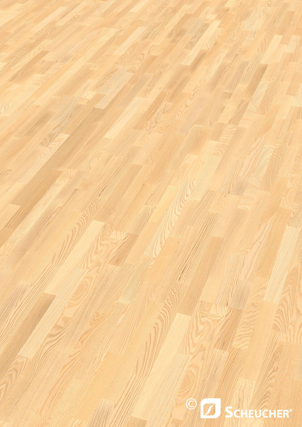 Esche Parkett Schiffsboden Natur