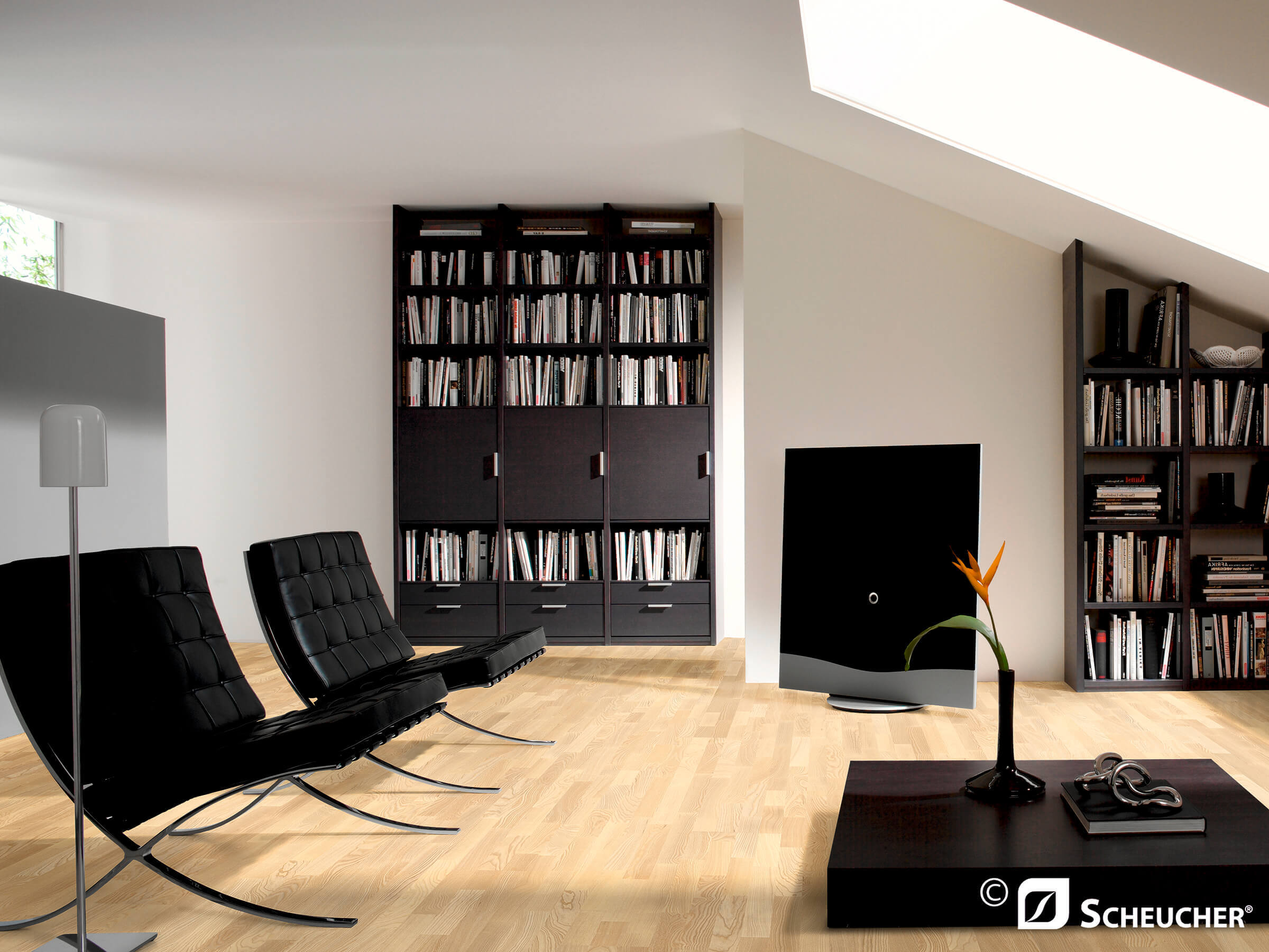 Schiffsboden Esche Natur Seda