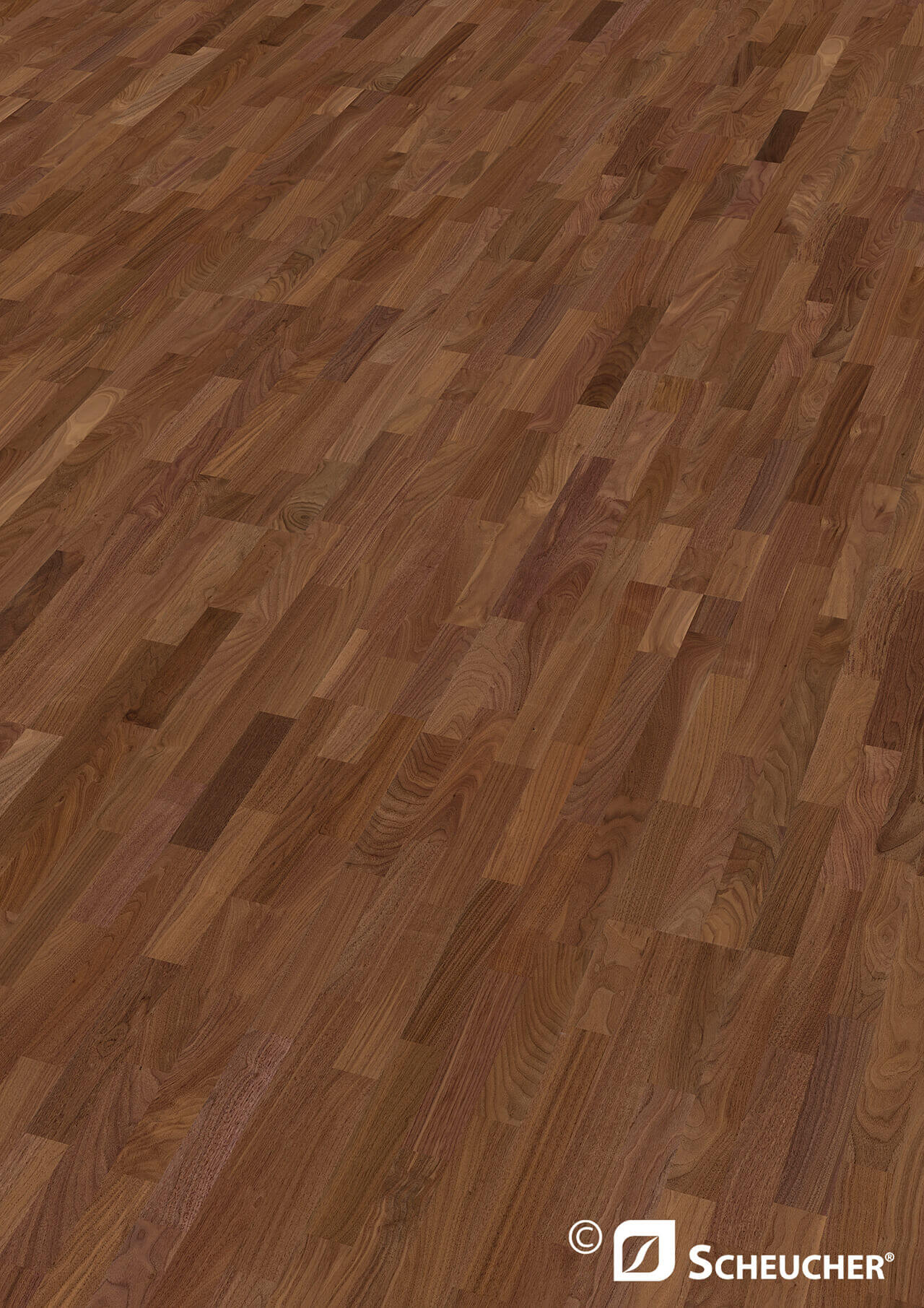 Schiffsboden Nuss amerikanisch