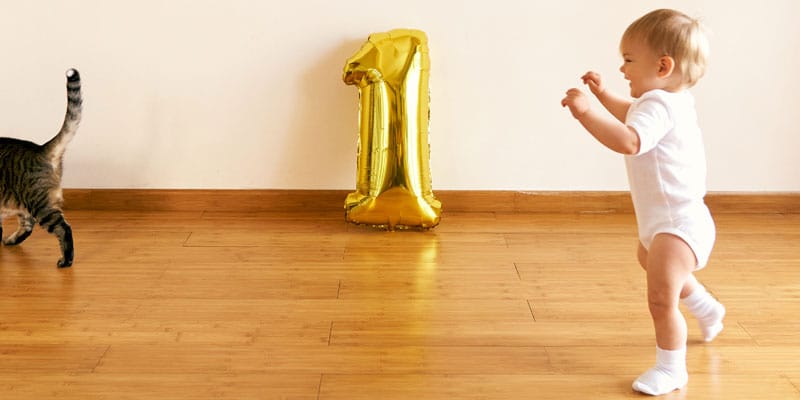 Baby läuft hinter Katze her auf Parkettboden