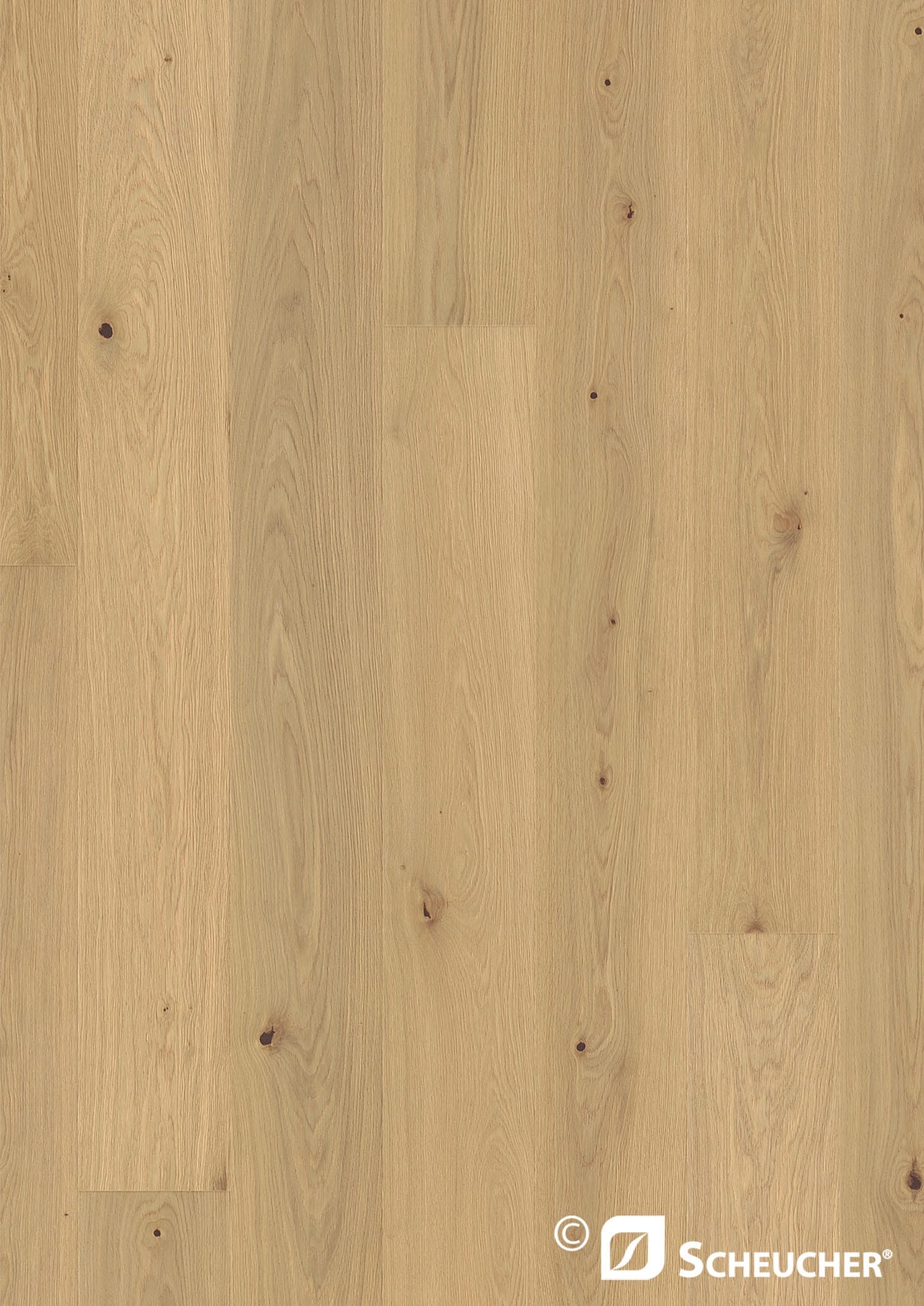 Scheucher Parkett Landhausdiele 182 Eiche Country BAHAMAS