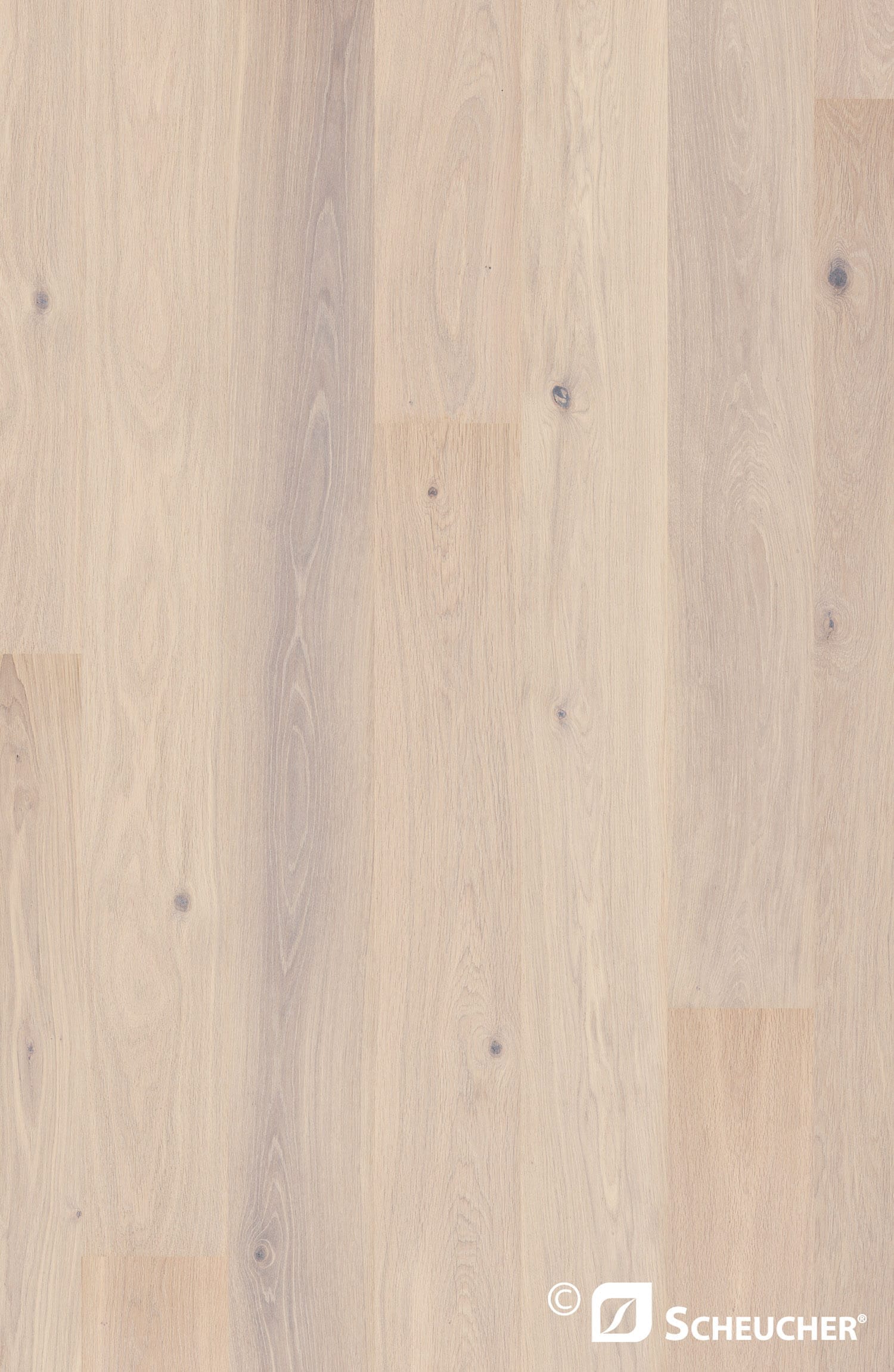 Scheucher Parkett Landhausdiele 182 Eiche Country Woodflor