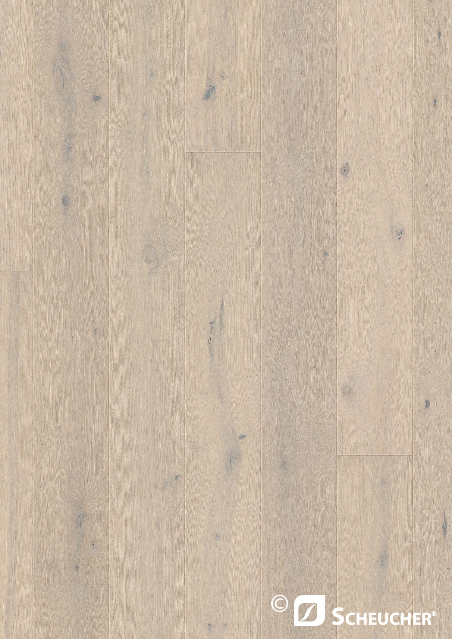 MENORCA Woodflor Eiche