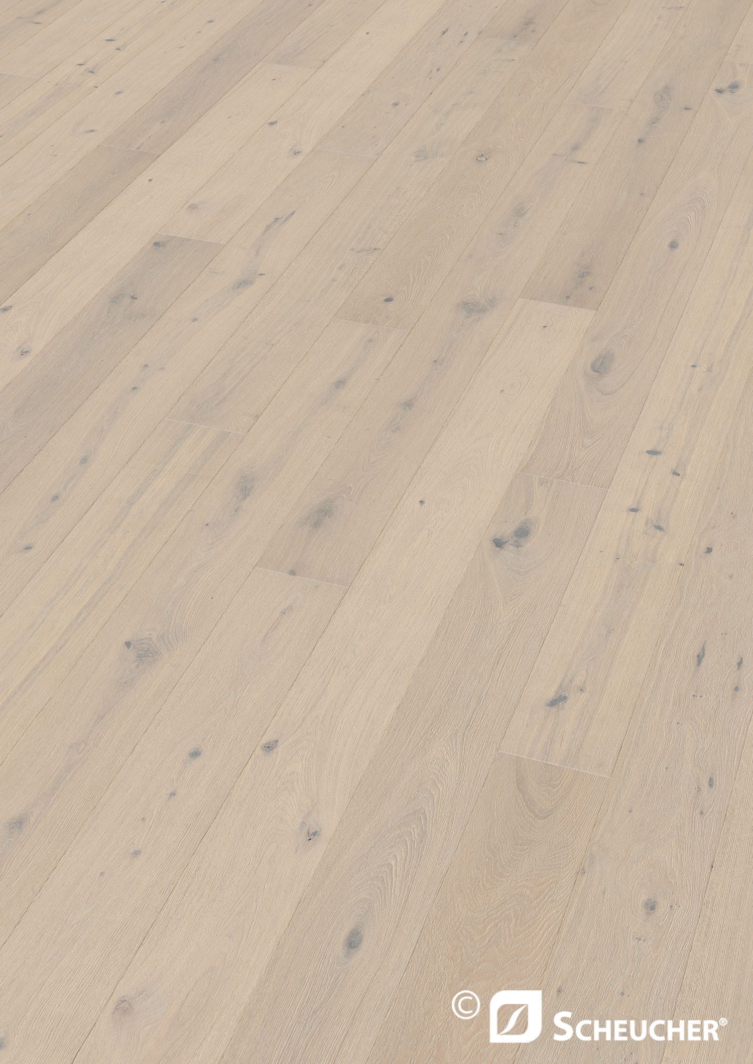MENORCA Woodflor Eiche
