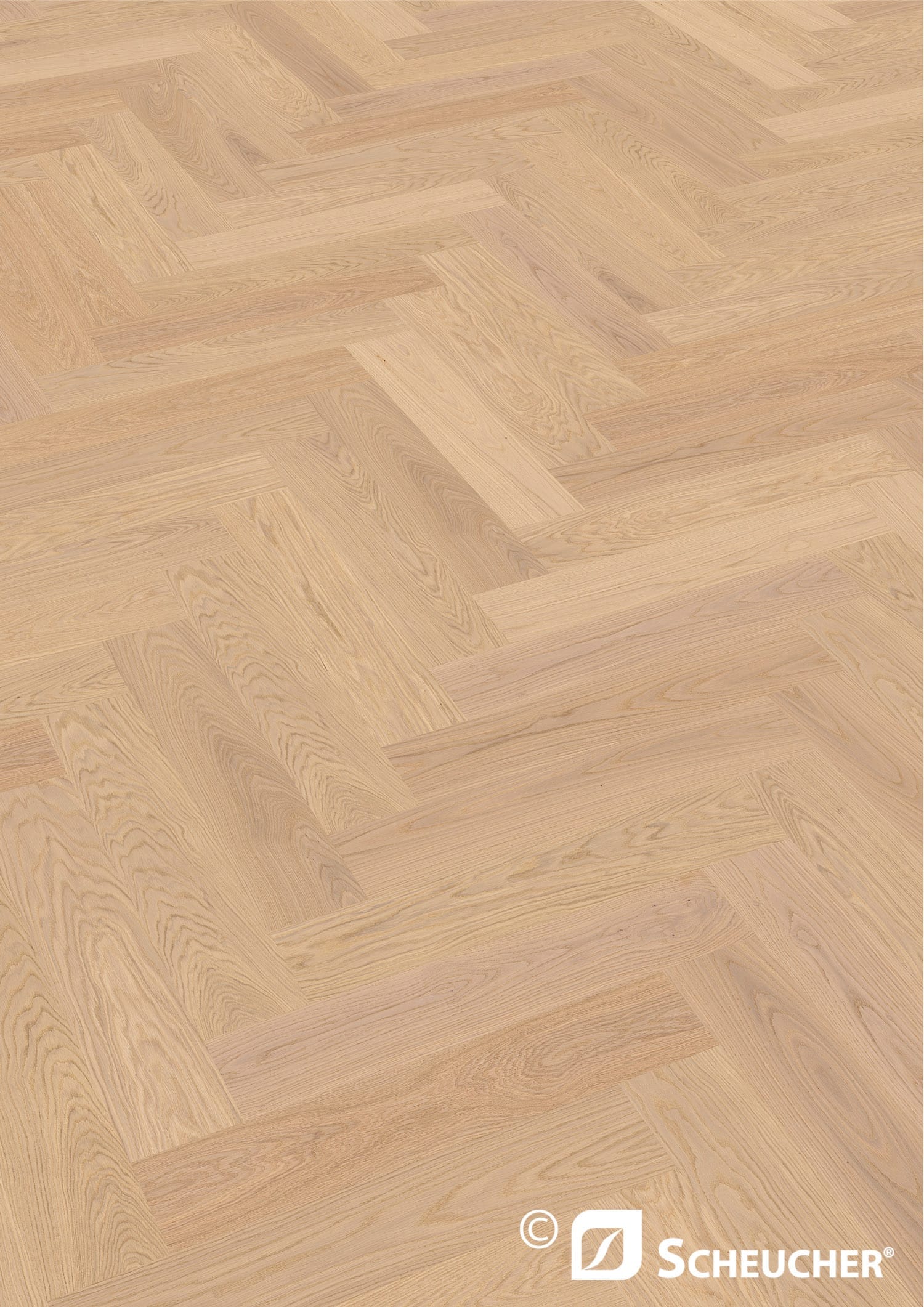 Scheucher Parkett Französisches Fischgrät Eiche Bianca