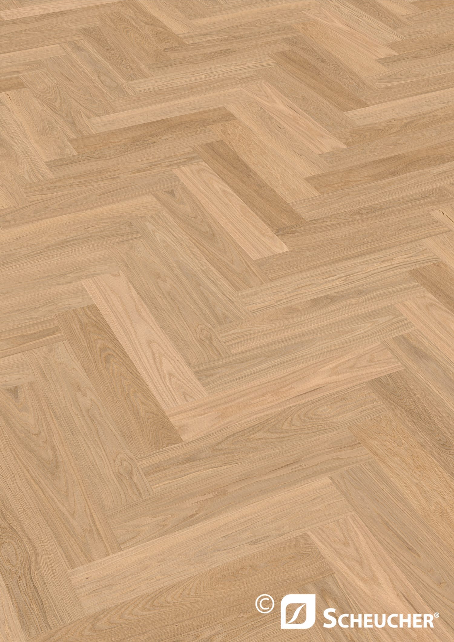 Scheucher Parkett Fischgrät Multiflor 700 Eiche Natur PERLA