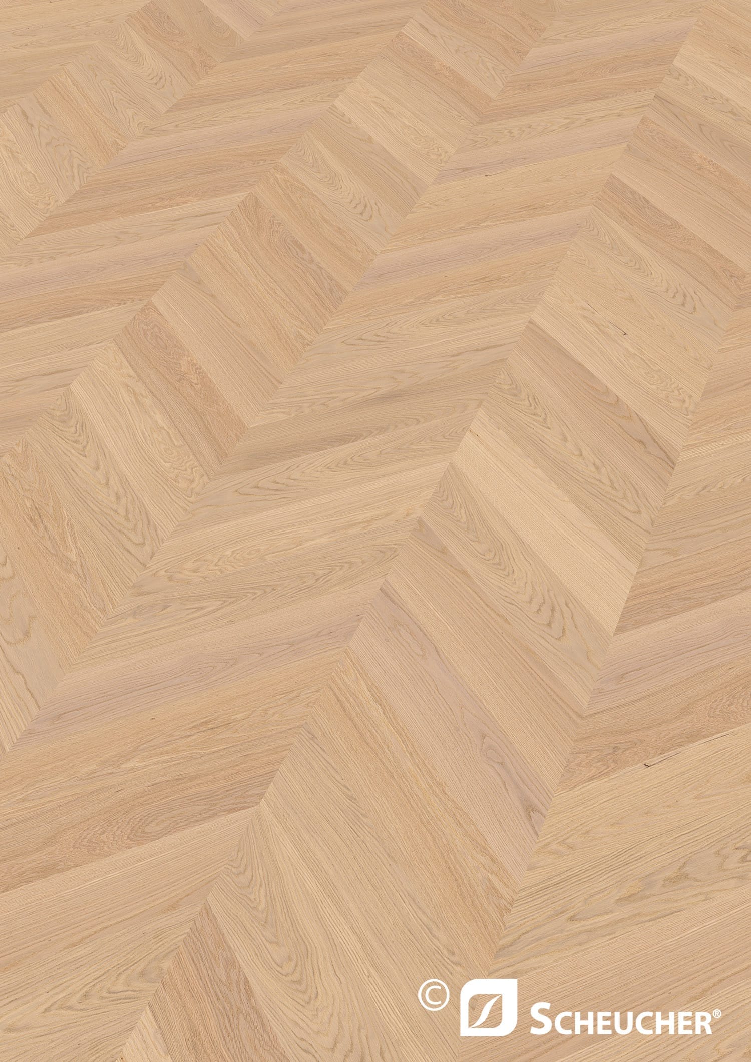 Scheucher Parkett Französisches Fischgrät Eiche Bianca