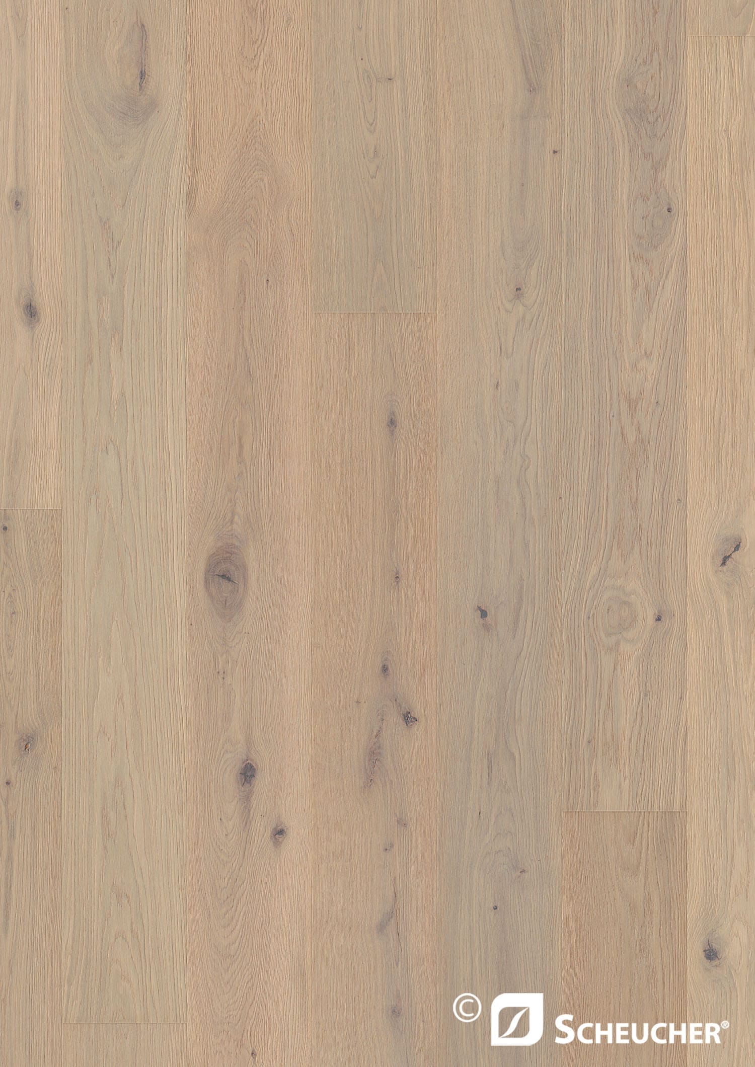 SANSIBAR WOODflor182 Eiche