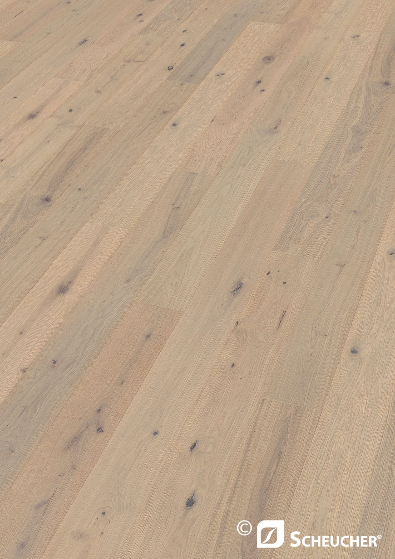 Scheucher Parkett Elevation Landhausdiele Woodflor 182 SANSIBAR